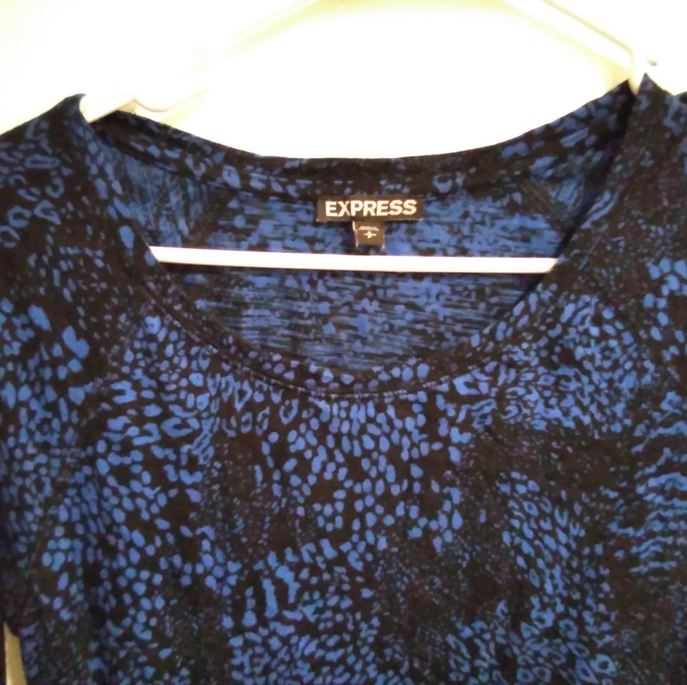 Small express dress
